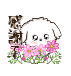 愛犬家さんのわんこ♡マルチーズ【挨拶】（個別スタンプ：11）