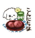 愛犬家さんのわんこ♡マルチーズ【挨拶】（個別スタンプ：13）