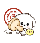 愛犬家さんのわんこ♡マルチーズ【挨拶】（個別スタンプ：16）