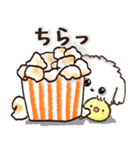 愛犬家さんのわんこ♡マルチーズ【挨拶】（個別スタンプ：28）