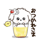愛犬家さんのわんこ♡マルチーズ【挨拶】（個別スタンプ：30）