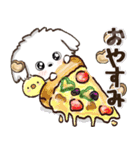 愛犬家さんのわんこ♡マルチーズ【挨拶】（個別スタンプ：37）