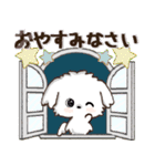 愛犬家さんのわんこ♡マルチーズ【挨拶】（個別スタンプ：38）