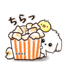愛犬家のわんこと判子♡シロ[食べ物vol,2]（個別スタンプ：28）