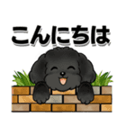 キュートなトイプードル ♡ デカ文字入り（個別スタンプ：3）