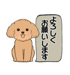 キュートなトイプードル ♡ デカ文字入り（個別スタンプ：8）