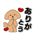 キュートなトイプードル ♡ デカ文字入り（個別スタンプ：9）