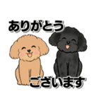 キュートなトイプードル ♡ デカ文字入り（個別スタンプ：10）