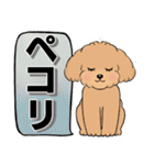 キュートなトイプードル ♡ デカ文字入り（個別スタンプ：11）