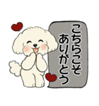 キュートなトイプードル ♡ デカ文字入り（個別スタンプ：12）