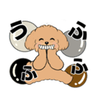キュートなトイプードル ♡ デカ文字入り（個別スタンプ：16）
