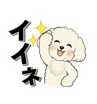 キュートなトイプードル ♡ デカ文字入り（個別スタンプ：17）
