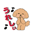 キュートなトイプードル ♡ デカ文字入り（個別スタンプ：19）