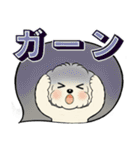 キュートなトイプードル ♡ デカ文字入り（個別スタンプ：21）