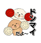 キュートなトイプードル ♡ デカ文字入り（個別スタンプ：26）