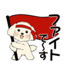 キュートなトイプードル ♡ デカ文字入り（個別スタンプ：28）