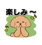 キュートなトイプードル ♡ デカ文字入り（個別スタンプ：34）