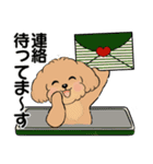 キュートなトイプードル ♡ デカ文字入り（個別スタンプ：37）