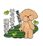 キュートなトイプードル ♡ デカ文字入り（個別スタンプ：39）