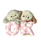 本物のぬいぐるみ♡愛犬わんこ/ふわプク/1（個別スタンプ：3）