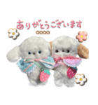 本物のぬいぐるみ♡愛犬わんこ/ふわプク/1（個別スタンプ：6）