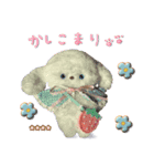 本物のぬいぐるみ♡愛犬わんこ/ふわプク/1（個別スタンプ：12）