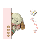 本物のぬいぐるみ♡愛犬わんこ/ふわプク/1（個別スタンプ：17）