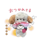 本物のぬいぐるみ♡愛犬わんこ/ふわプク/1（個別スタンプ：22）