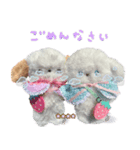 本物のぬいぐるみ♡愛犬わんこ/ふわプク/1（個別スタンプ：27）