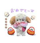 本物のぬいぐるみ♡愛犬わんこ/ふわプク/1（個別スタンプ：29）