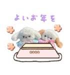 本物のぬいぐるみ♡愛犬わんこ/ふわプク/1（個別スタンプ：35）