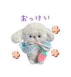 本物のぬいぐるみ♡愛犬わんこ/ふわプク/2（個別スタンプ：1）