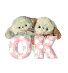 本物のぬいぐるみ♡愛犬わんこ/ふわプク/2（個別スタンプ：3）