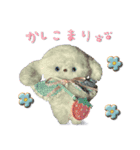 本物のぬいぐるみ♡愛犬わんこ/ふわプク/2（個別スタンプ：4）