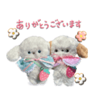本物のぬいぐるみ♡愛犬わんこ/ふわプク/2（個別スタンプ：6）