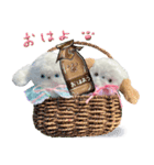 本物のぬいぐるみ♡愛犬わんこ/ふわプク/2（個別スタンプ：10）