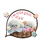 本物のぬいぐるみ♡愛犬わんこ/ふわプク/2（個別スタンプ：17）