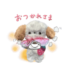 本物のぬいぐるみ♡愛犬わんこ/ふわプク/2（個別スタンプ：22）