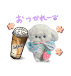 本物のぬいぐるみ♡愛犬わんこ/ふわプク/2（個別スタンプ：23）