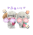 本物のぬいぐるみ♡愛犬わんこ/ふわプク/2（個別スタンプ：25）
