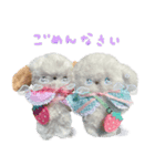 本物のぬいぐるみ♡愛犬わんこ/ふわプク/2（個別スタンプ：28）