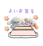 本物のぬいぐるみ♡愛犬わんこ/ふわプク/2（個別スタンプ：35）