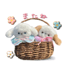 本物のぬいぐるみ♡愛犬わんこ/ふわプク/2（個別スタンプ：40）