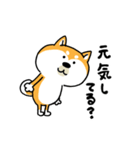 楽勝かんたんメッセージ☆いっぬ（個別スタンプ：10）