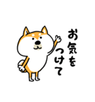 楽勝かんたんメッセージ☆いっぬ（個別スタンプ：16）
