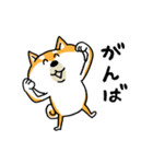 楽勝かんたんメッセージ☆いっぬ（個別スタンプ：33）
