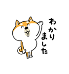 楽勝かんたんメッセージ☆いっぬ（個別スタンプ：34）