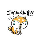 楽勝かんたんメッセージ☆いっぬ（個別スタンプ：36）