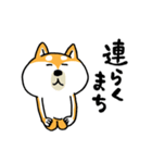 楽勝かんたんメッセージ☆いっぬ（個別スタンプ：37）
