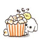 背景が動く！ワンコdeはんこ♡ハッピー毎日（個別スタンプ：8）